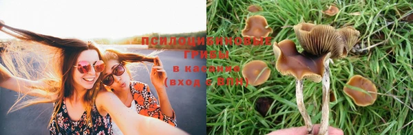 тгк Аркадак